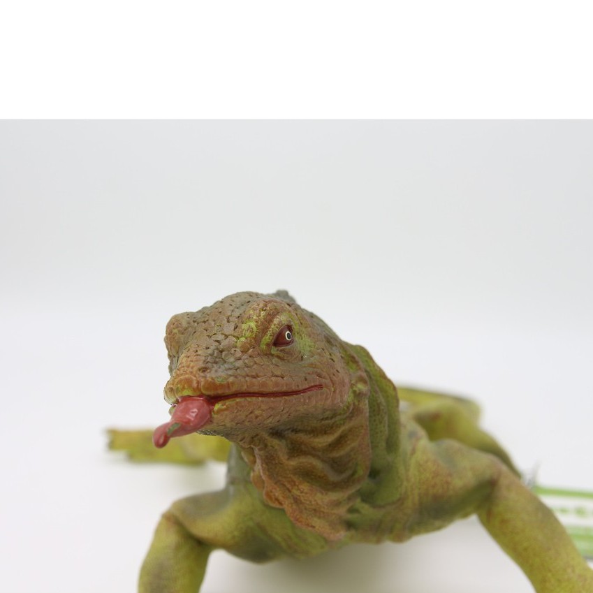 Đồ chơi mô hình động vật cho bé Recur DW330 - hình thằn lằn Iguana - TOYS HOUSE
