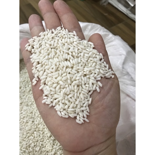 1kg nếp ngỗng -nếp nấu xôi dẻo thơm