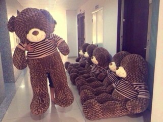 Gấu bông teddy 1m và m2