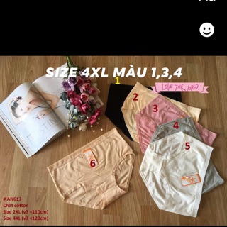 Combo 3 quần lót bigsize