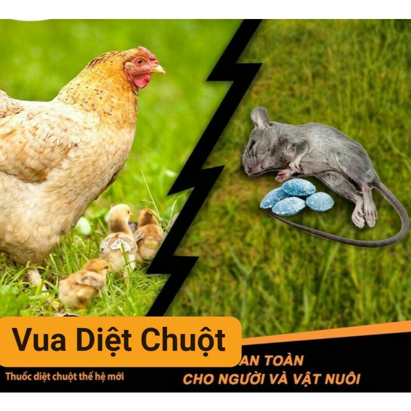 Thuôc diệt chuột dạng viên nén túi 20 viên không mùi 1 con ăn cả đàn chết