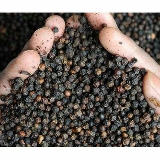 1kg hạt tiêu rừng