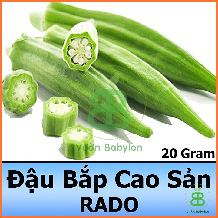 Hạt Giống Đậu Bắp Xanh 20Gr