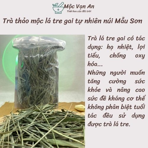 Trà thảo mộc lá tre gai hay còn gọi là trúc diệp trà nhà Mộc Vạn An túi zip 100gr