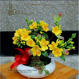 Combo nguyên liệu, dụng cụ làm cây mai bonsai bằng len