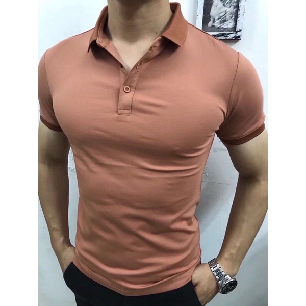 Áo Polo Nam cổ bẻ TSIMPLE thun basic cộc tay vải cá sấu cotton lụa, phong cách trẻ trung chuẩn form nhiều màu