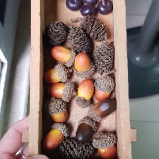 Phụ kiện chụp ảnh Hạt sồi