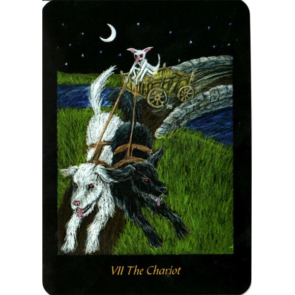 Bộ Bài Twilight Realm Tarot (Mystic House Tarot Shop) - Bài Gốc Authentic Chính Hãng 100%