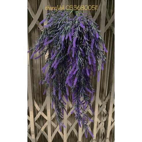 Cụm rủ treo tường-bụi rủ ớt trang trí,decor phong cách vintage