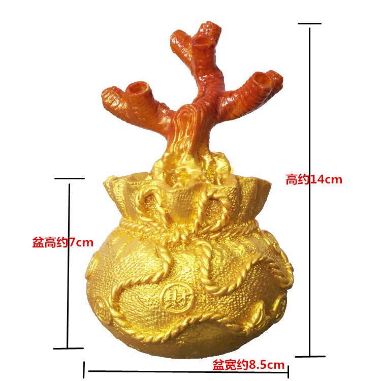 Gốc Cây Túi Tiền 7 Cành