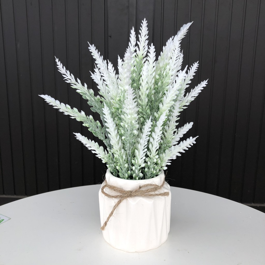 Hoa Oải Hương Lavender - Mã Đề phủ phấn thanh tao, trang nhã cao 37cm - Hoa giả trang trí đẹp