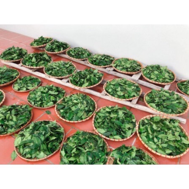 100g bột trà xanh tự làm hàng chuẩn