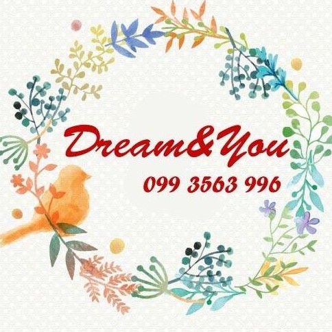 dreamandyou