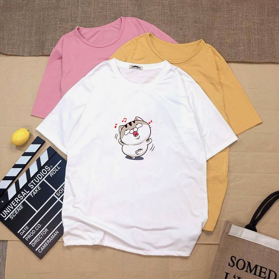 Áo thun tay lỡ unisex form rộng ami bụng bự vải dày mịn 20N1281