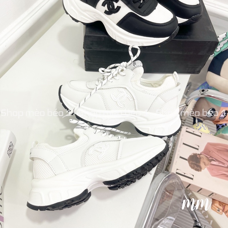Giày thể thao sneaker cn viền pha basic fullbox