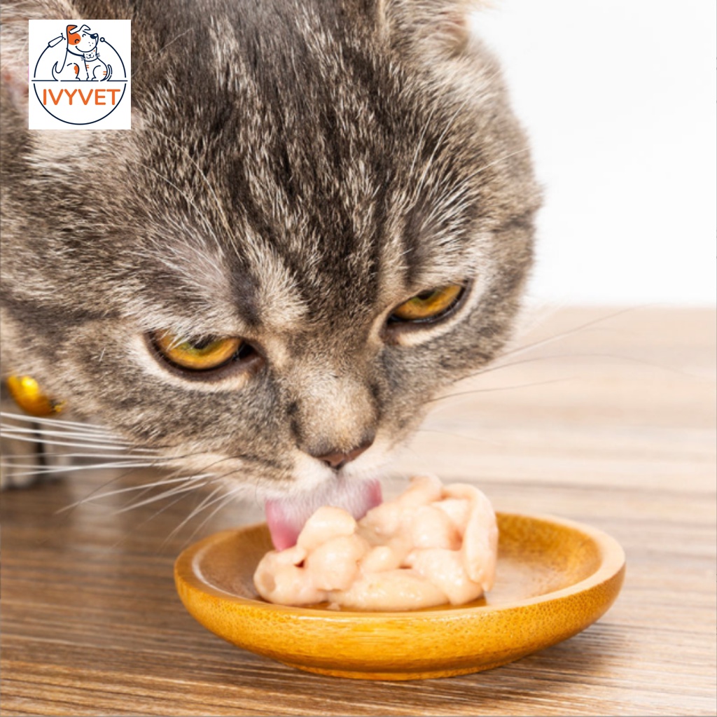 Súp thưởng cho mèo CATFOOD thanh 15gr siêu ngon và bổ dưỡng - 3 hương vị