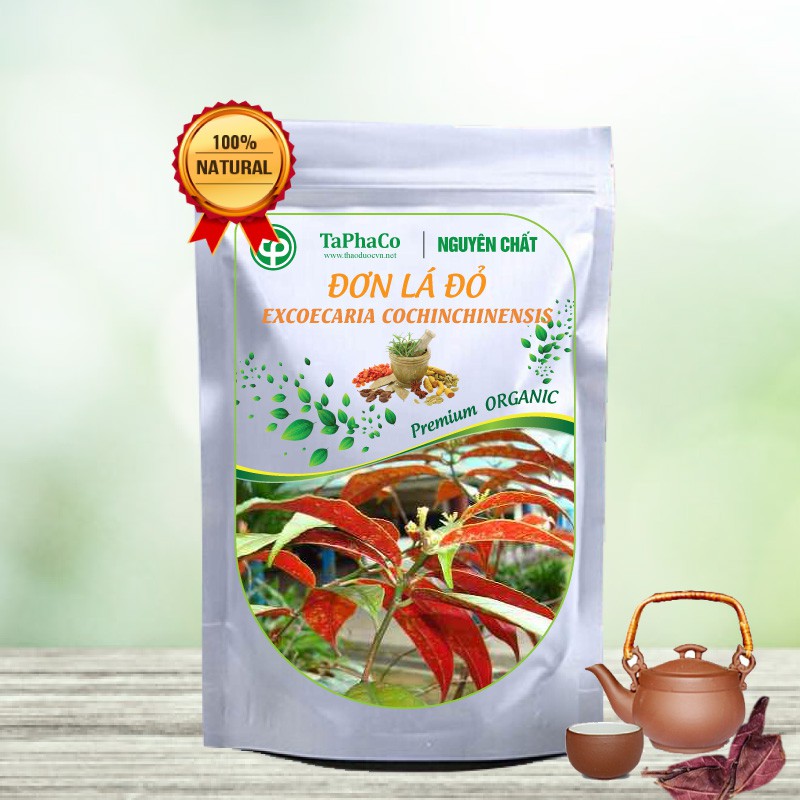 Lá đơn đỏ khô - Thảo dược Tấn Phát