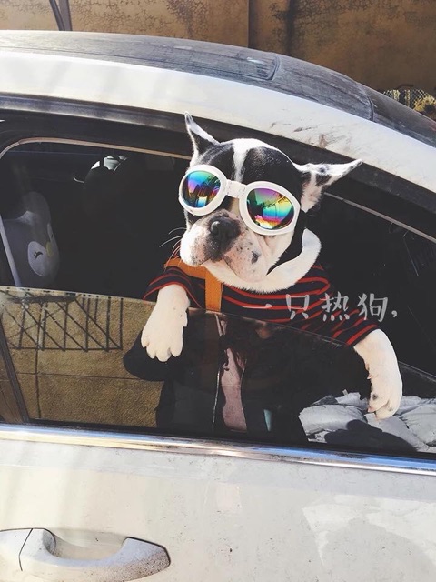 Mắt kinh du lịch cho bossss🤪