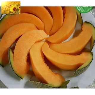 Hạt Giống Dưa Lưới Vàng Chịu Nhiệt (20 Hạt) - Giòn Ngọt, Giàu Vitamin, Năng Suất Cao - MUA 3 TẶNG 1 CÙNG LOẠI