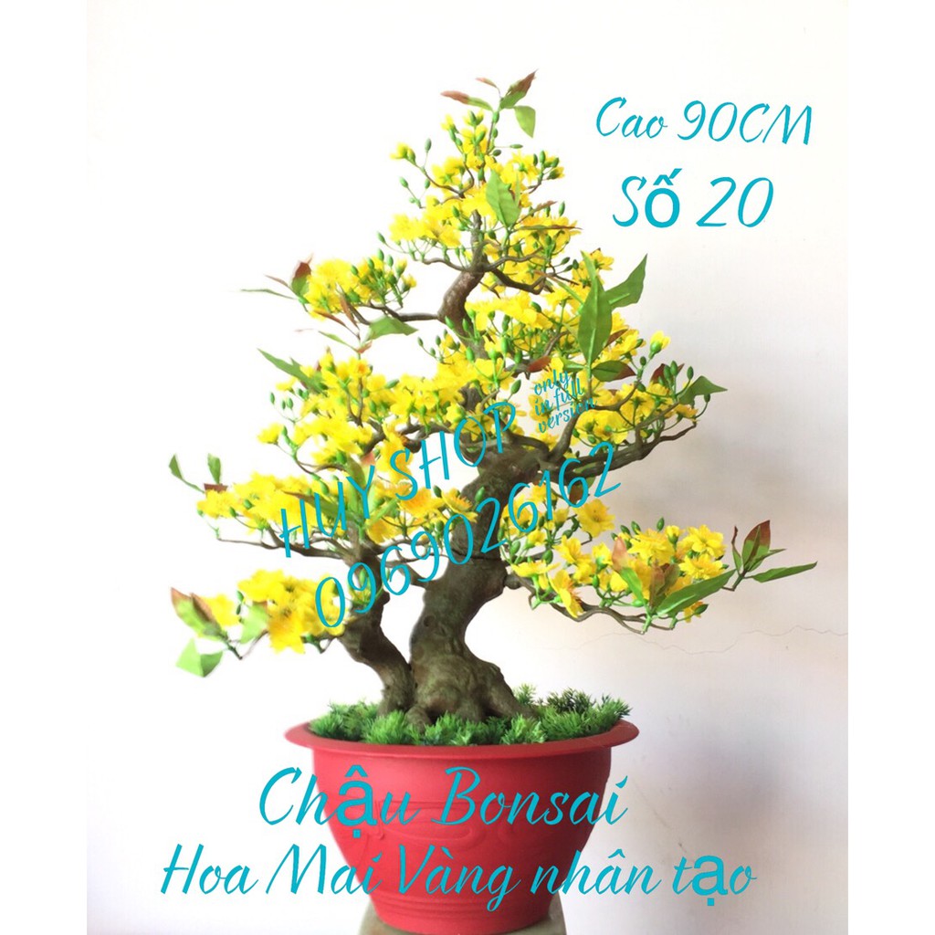 HOA TRANG TRÍ NGÀY TẾT - CHẬU BONSAI HOA MAI VÀNG NHÂN TẠO SỐ 20