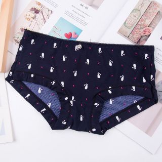 Combo 5 QUẦN SU THÔNG HƠI mã 5083