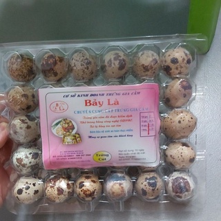 TRỨNG GÀ VỀ HÀNG