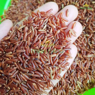 gạo lứt đỏ rang sẵn 500g