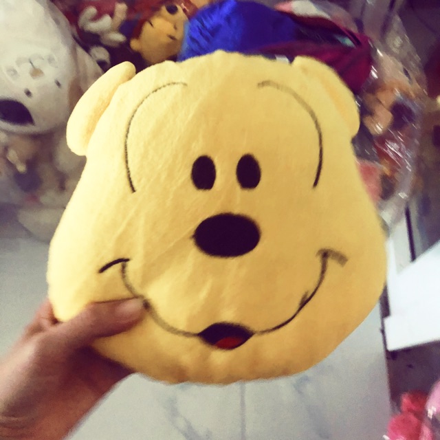 Gấu bông của duong