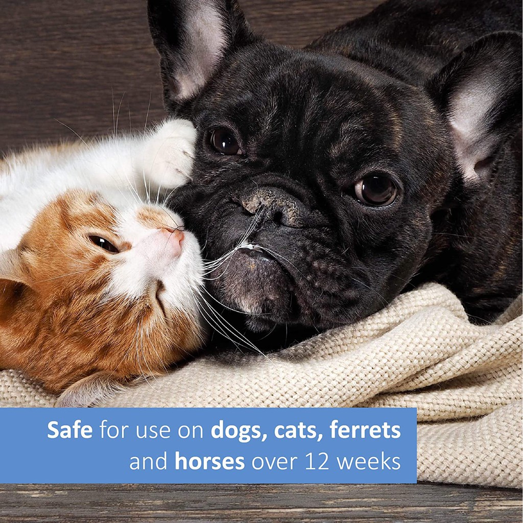 Dầu Tắm Ngăn Ngừa Ve Và Bọ Chét Cho Chó Mèo Veterinary Formula Clinical Care Flea and Tick Shampoo SUPERPETS VIỆT NAM