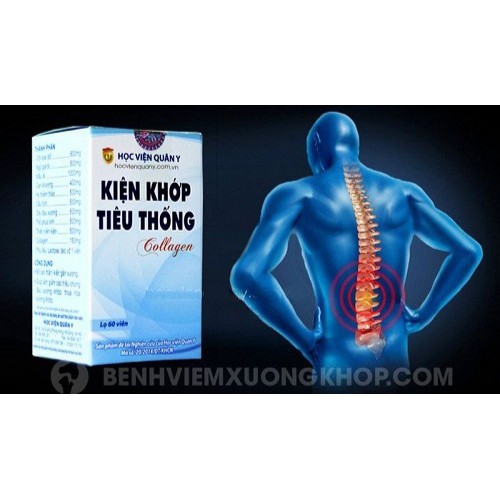 Kiện Khớp Tiêu Thống Collagen Học Viện Quân Y - Bổ can thận, kiện xương khớp (Hộp 60 viên) [Chính Hãng]