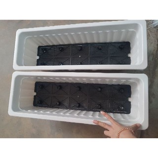 Chậu Nhựa Dài Trồng Rau Thông Minh  Đủ Màu
