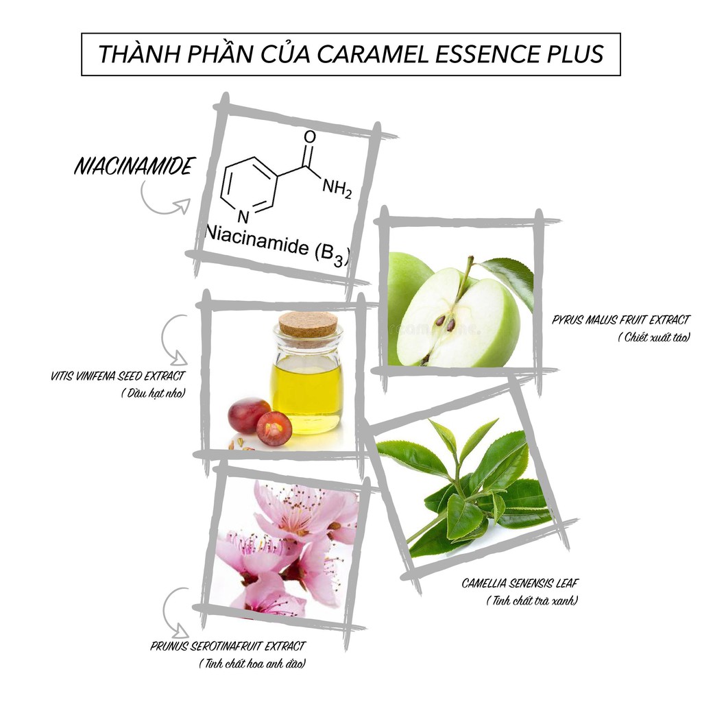 Tinh chất detox Chucos CARAMEL PLUS 10ml GIẢM MỤN | BigBuy360 - bigbuy360.vn