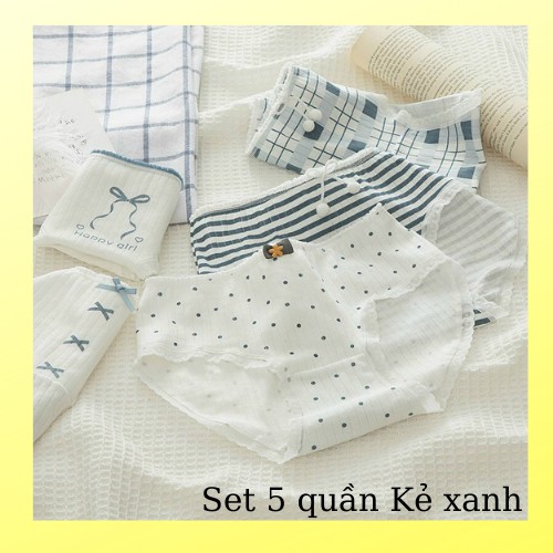 Quần lót nữ cotton, quần lót kháng khuẩn họa tiết _YS12