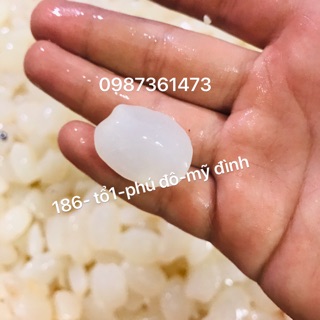 Hạt đác tươi 1kg