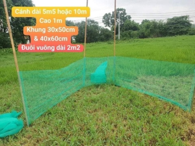 xăm cánh chặn sông dài 10m cao 1,7m khung 60 x80 cm y hình