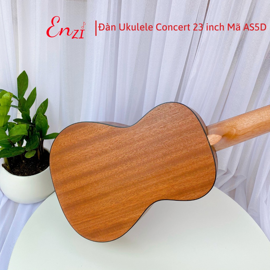 Đàn ukulele concert AS5D Enzi 23 inch gỗ mộc trơn khóa đúc giá rẻ cho bạn mới bắt đầu tập chơi