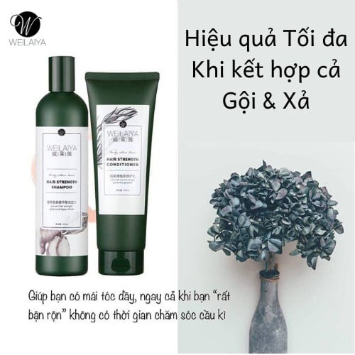 Dầu GỘI GỪNG WEILAIYA tinh chất gừng hỗ trợ móc tóc và hạn chế rụng tóc 400ml - Hàng chính hãng