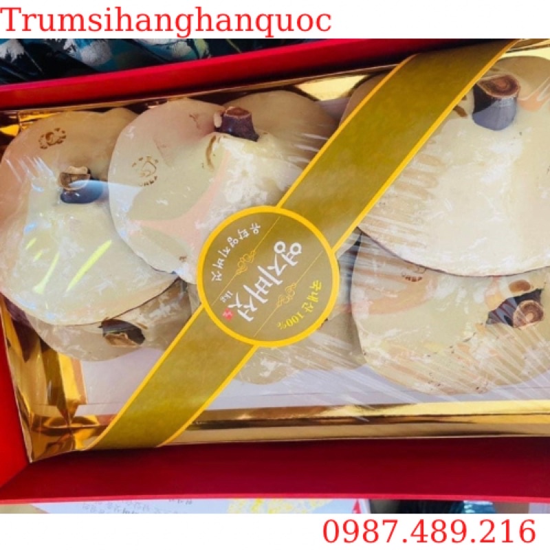NẤM LINH CHI VÀNG NHẠT HÀN QUỐC HỘP CÔ GÁI 1KG