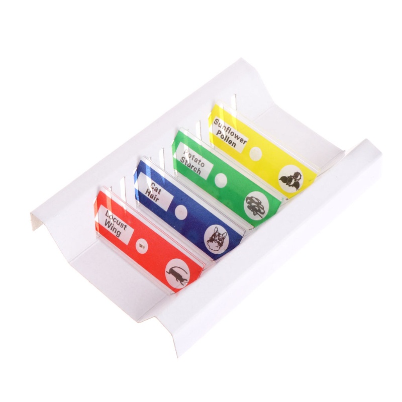 Set 12 Mẫu Vật Lý Kính Hiển Vi Cho Học Sinh