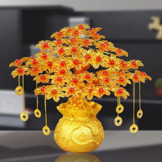 Combo 5 cây túi tiền 10 cành