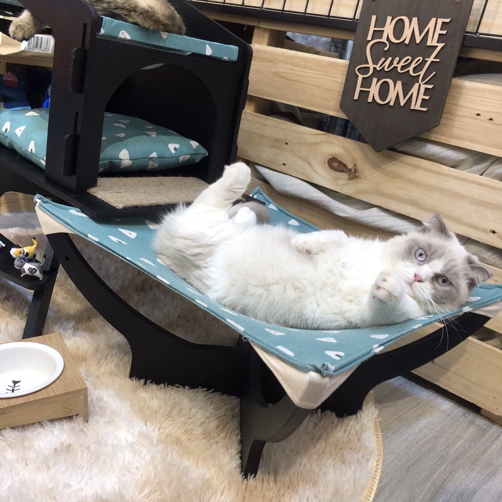 Giường võng cho mèo , giường chó mèo giá tận xưởng phong cách vintage có thể lắp ráp rất tiện lợi