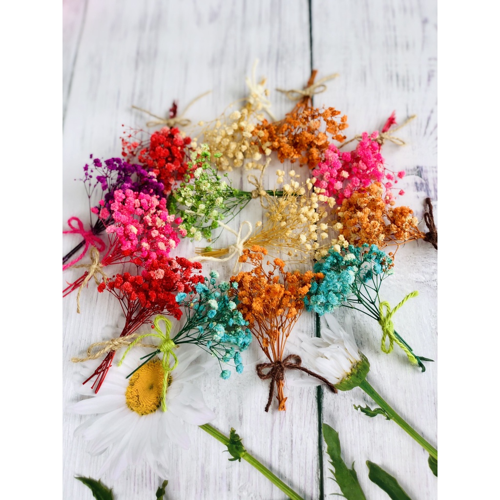 Nhánh hoa Bi Mini cột nơ - Hoa khô làm thiệp, tặng kèm hộp quà, decor chụp ảnh.