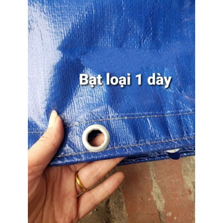 Bể bạt nuôi Ốc, Ếch, Lươn đủ kích thước