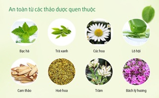 Combo 3 lọ XỊT THƠM MIỆNG THẢO DƯỢC GREENLUX 12ml