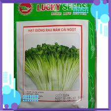 HAT MẦM RAU CẢI NGỌT GÓI 50 GRAM