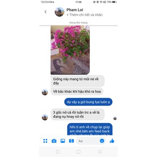 Phân Bón Hữu Cơ Cho Hoa Giấy