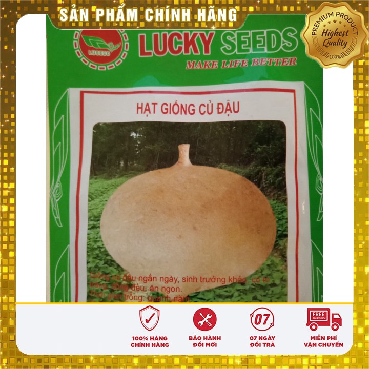 Hạt giống củ đậu cao sản (20 gr)