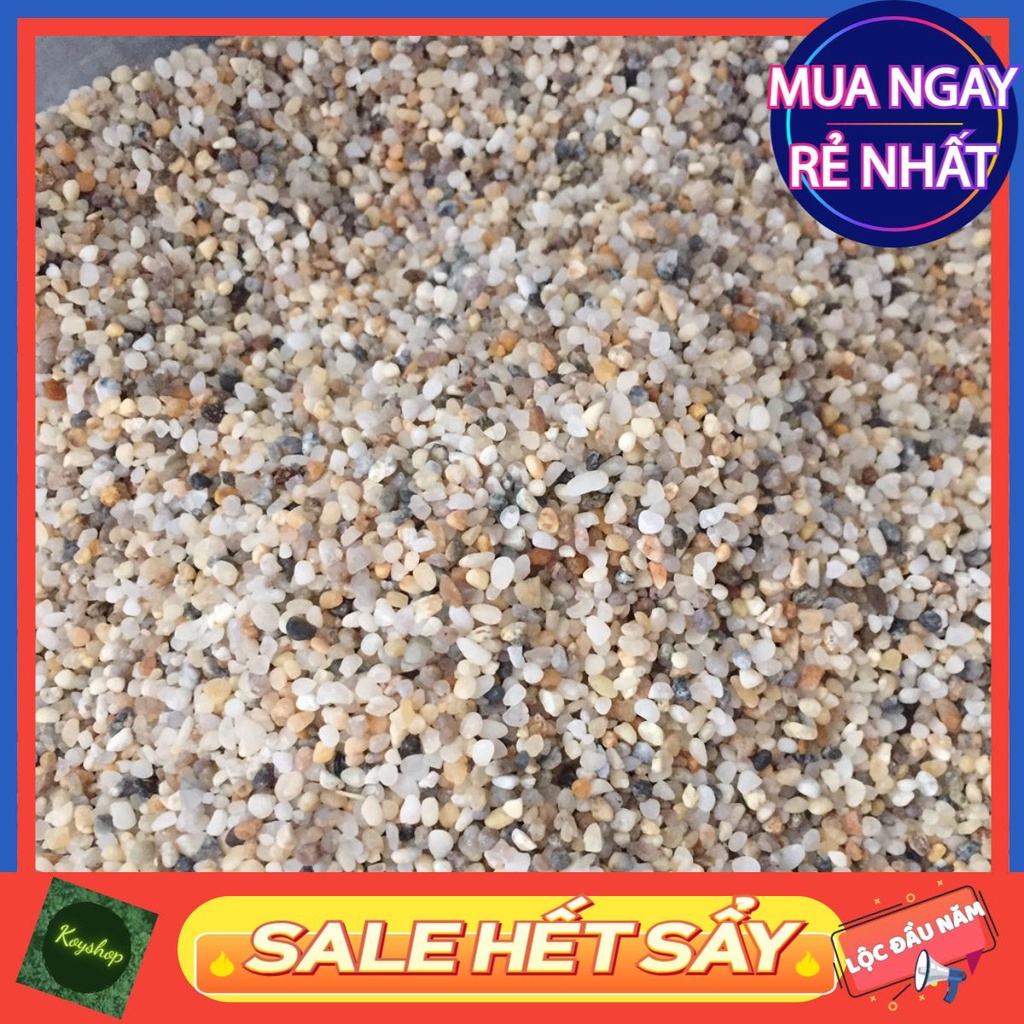 1kg Sỏi suối trải nền hồ cá, hồ thủy sinh - Giá tốt nhất.