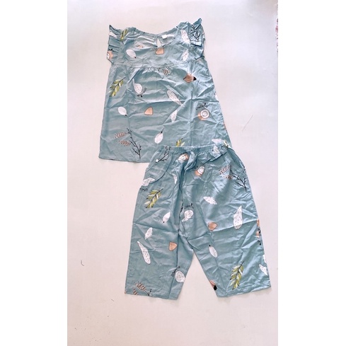 Bộ lửng tay cánh tiên tole lanh size 40-46kg