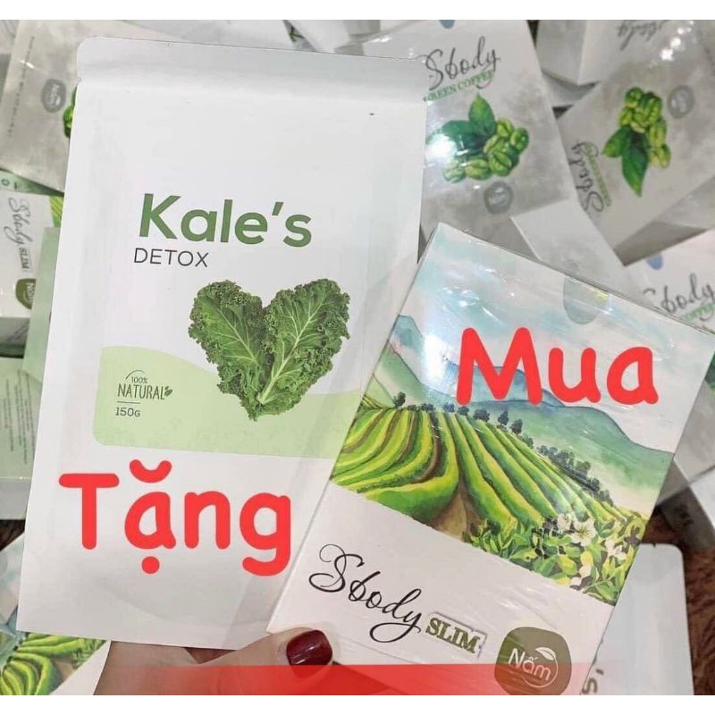 Nấm giảm cân Nấm Viên Slim sbody tặng detox Kale's
